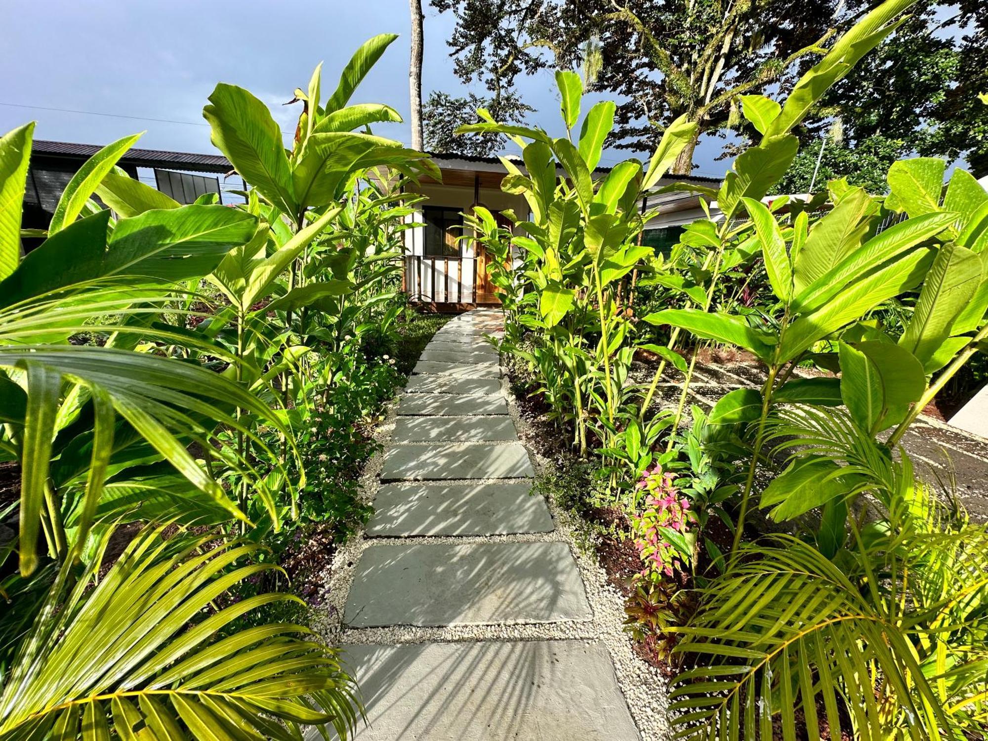 Almendros Eco-Villas ラ・フォルトゥナ エクステリア 写真