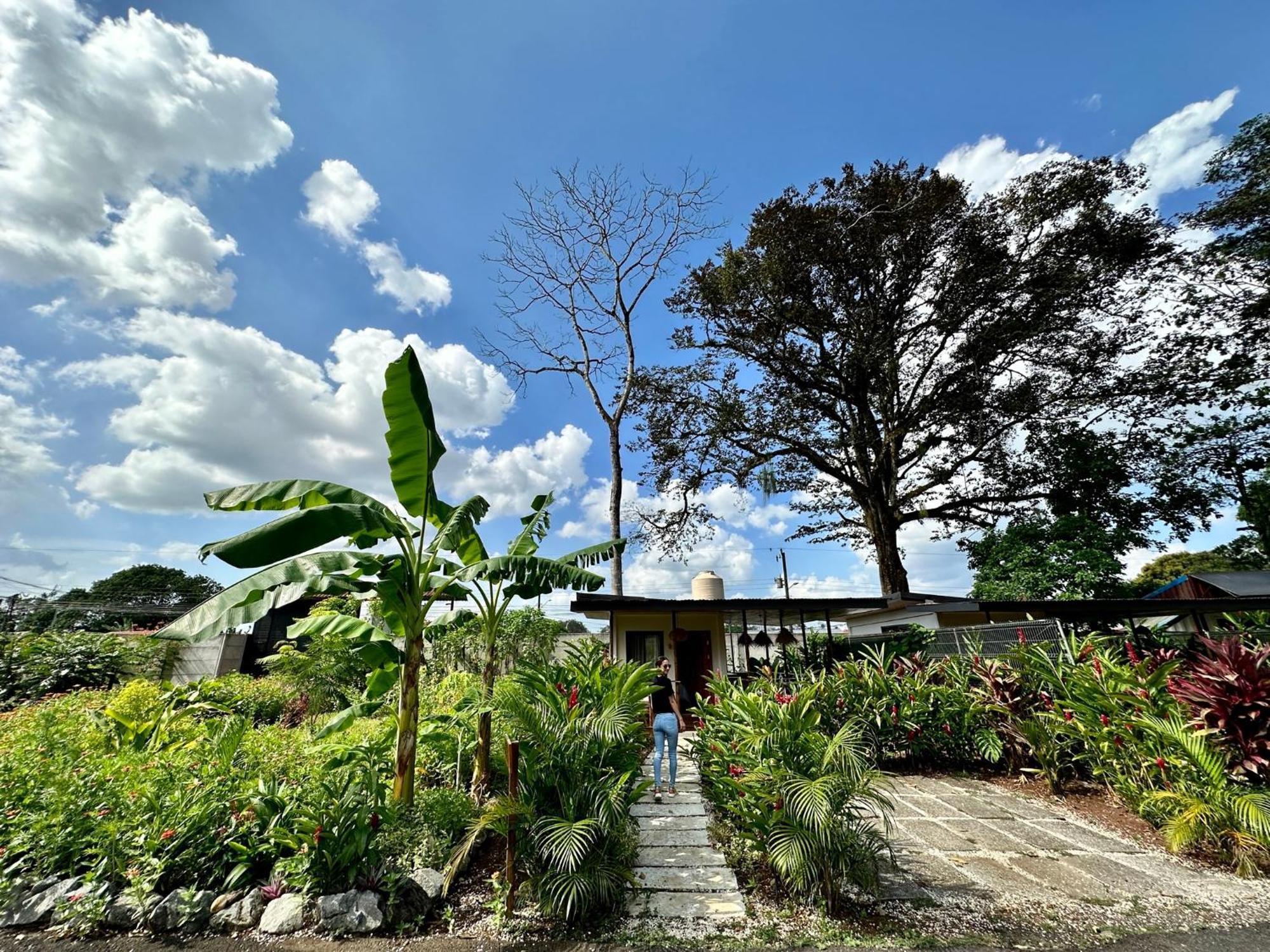 Almendros Eco-Villas ラ・フォルトゥナ エクステリア 写真