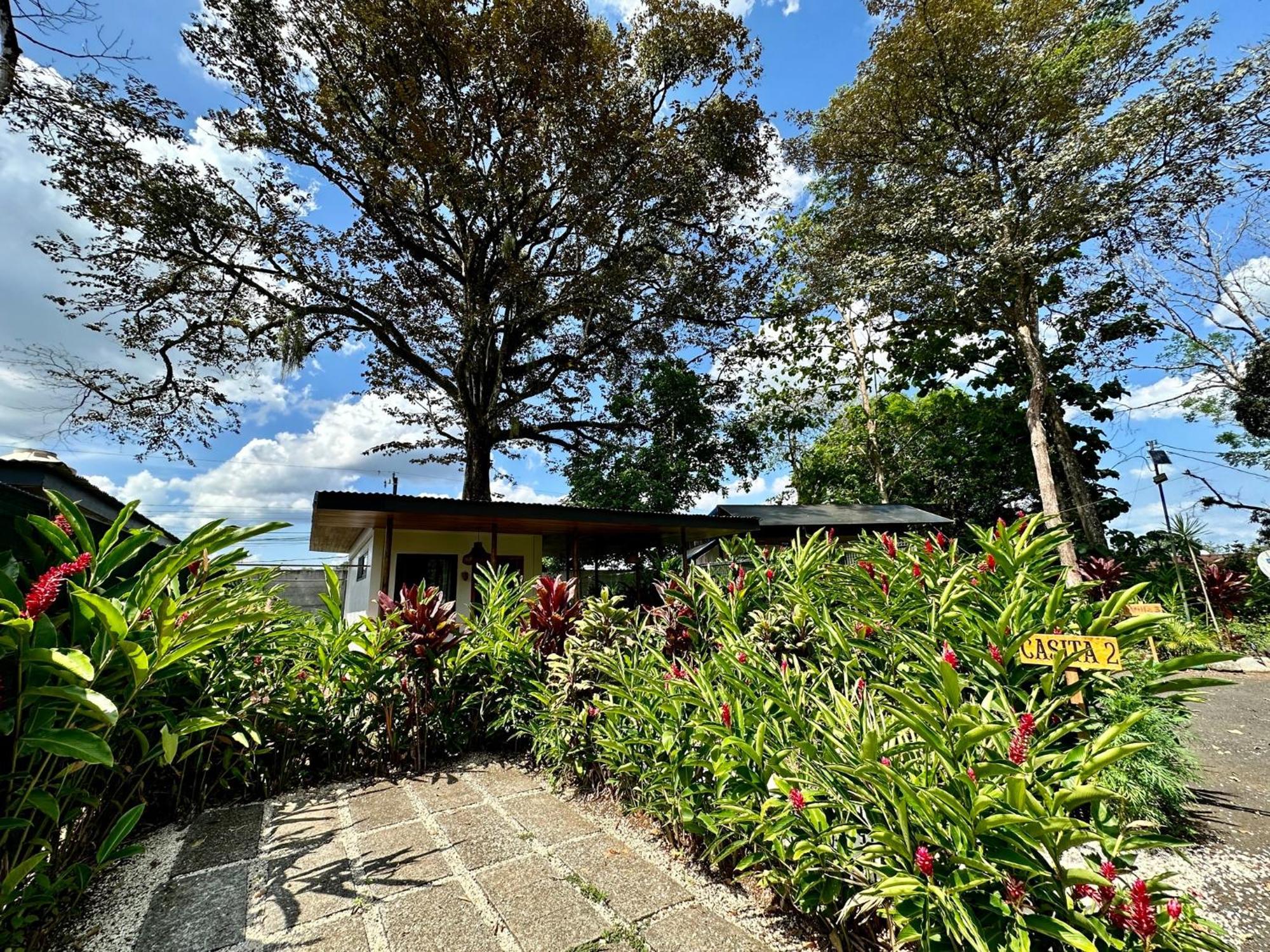 Almendros Eco-Villas ラ・フォルトゥナ エクステリア 写真