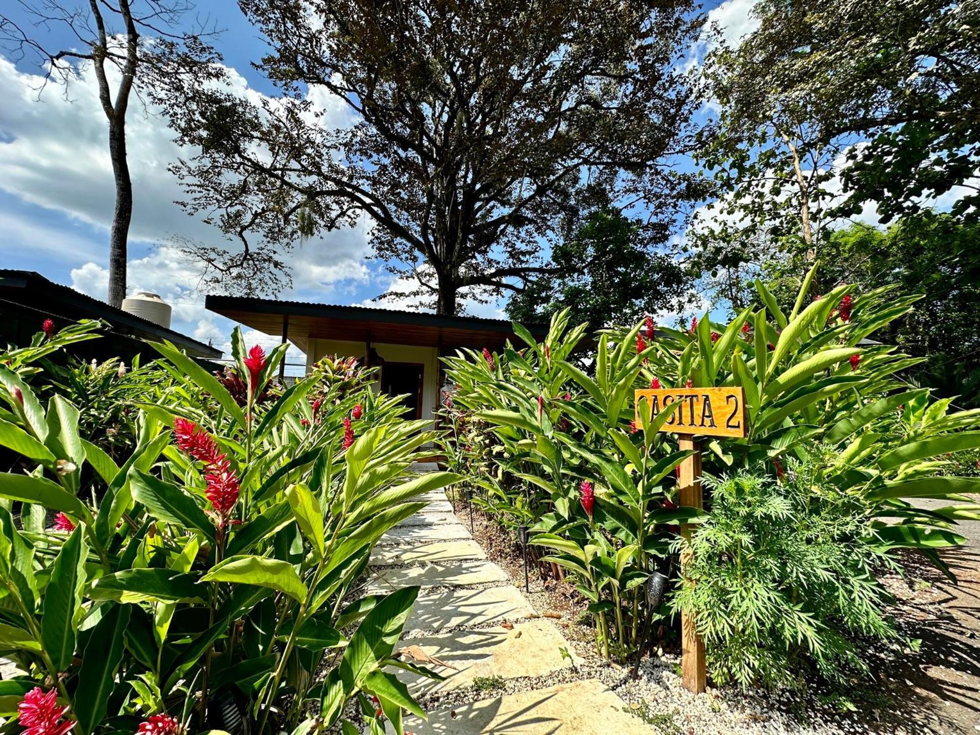 Almendros Eco-Villas ラ・フォルトゥナ エクステリア 写真