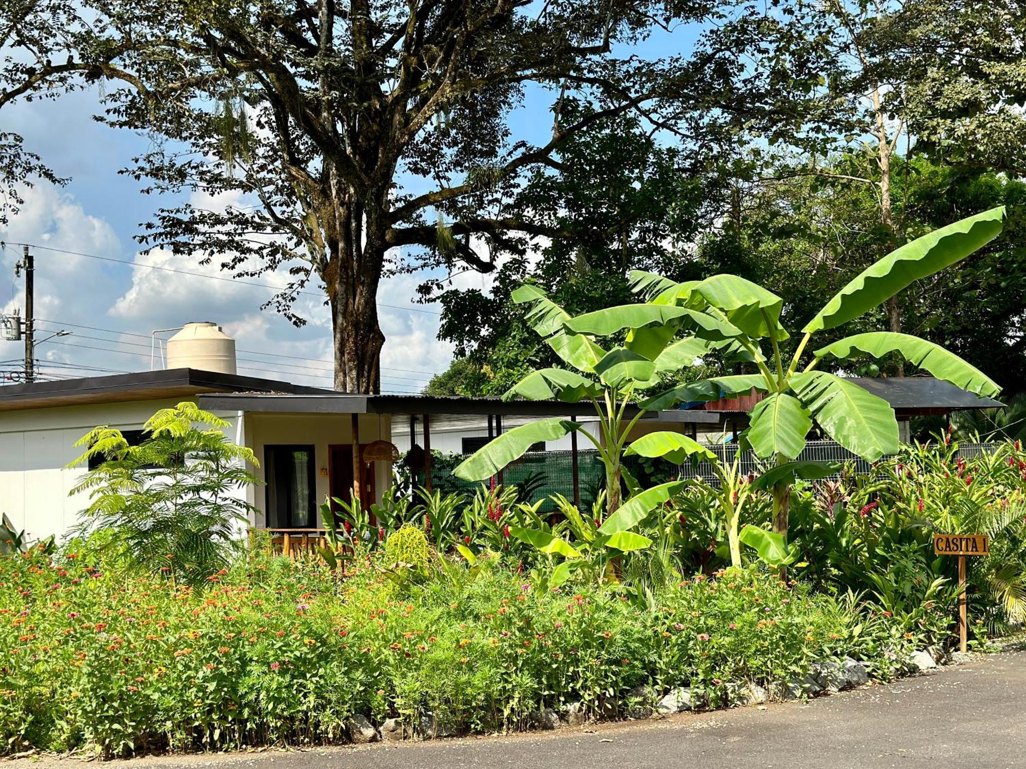 Almendros Eco-Villas ラ・フォルトゥナ エクステリア 写真