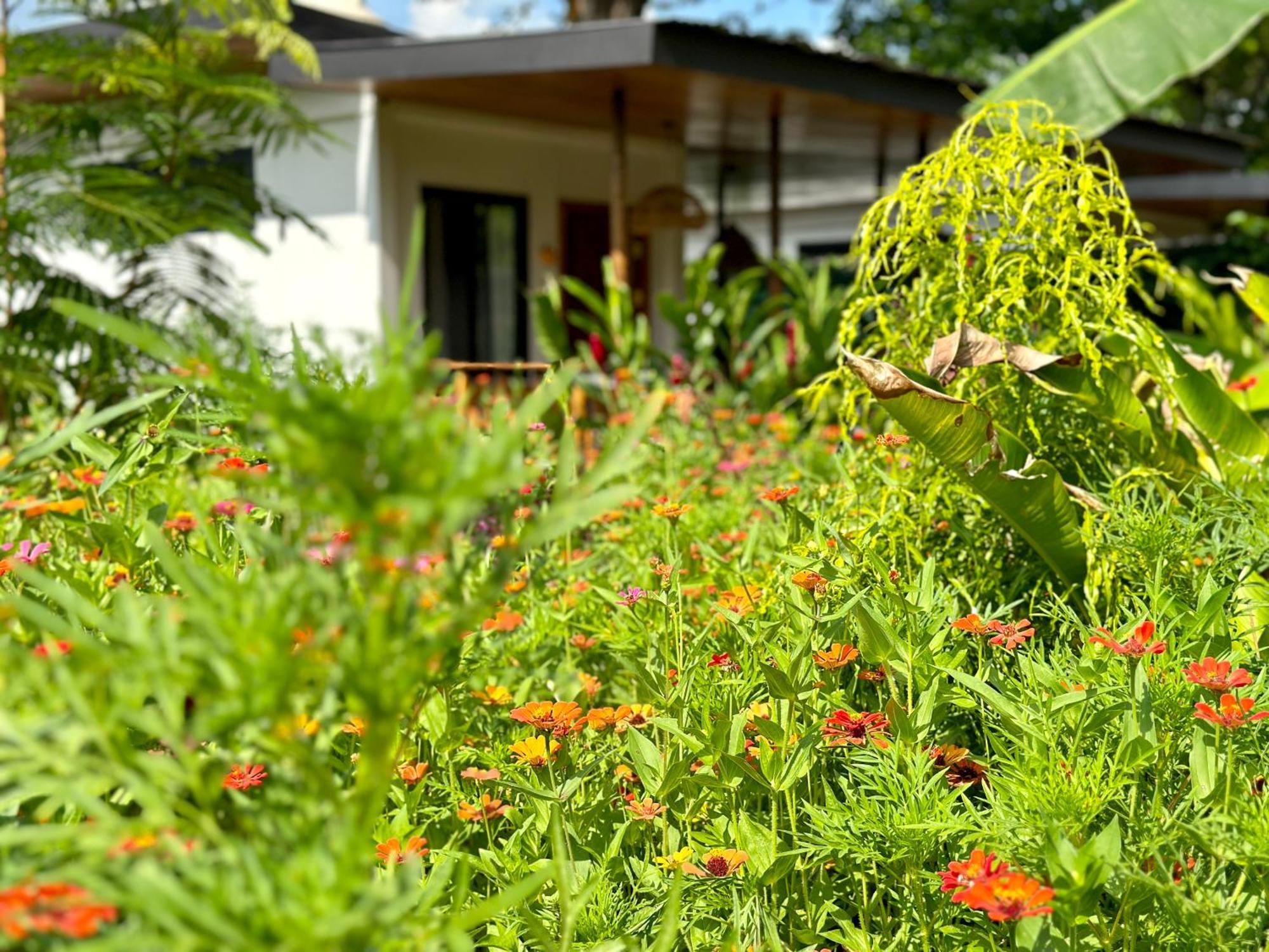 Almendros Eco-Villas ラ・フォルトゥナ エクステリア 写真