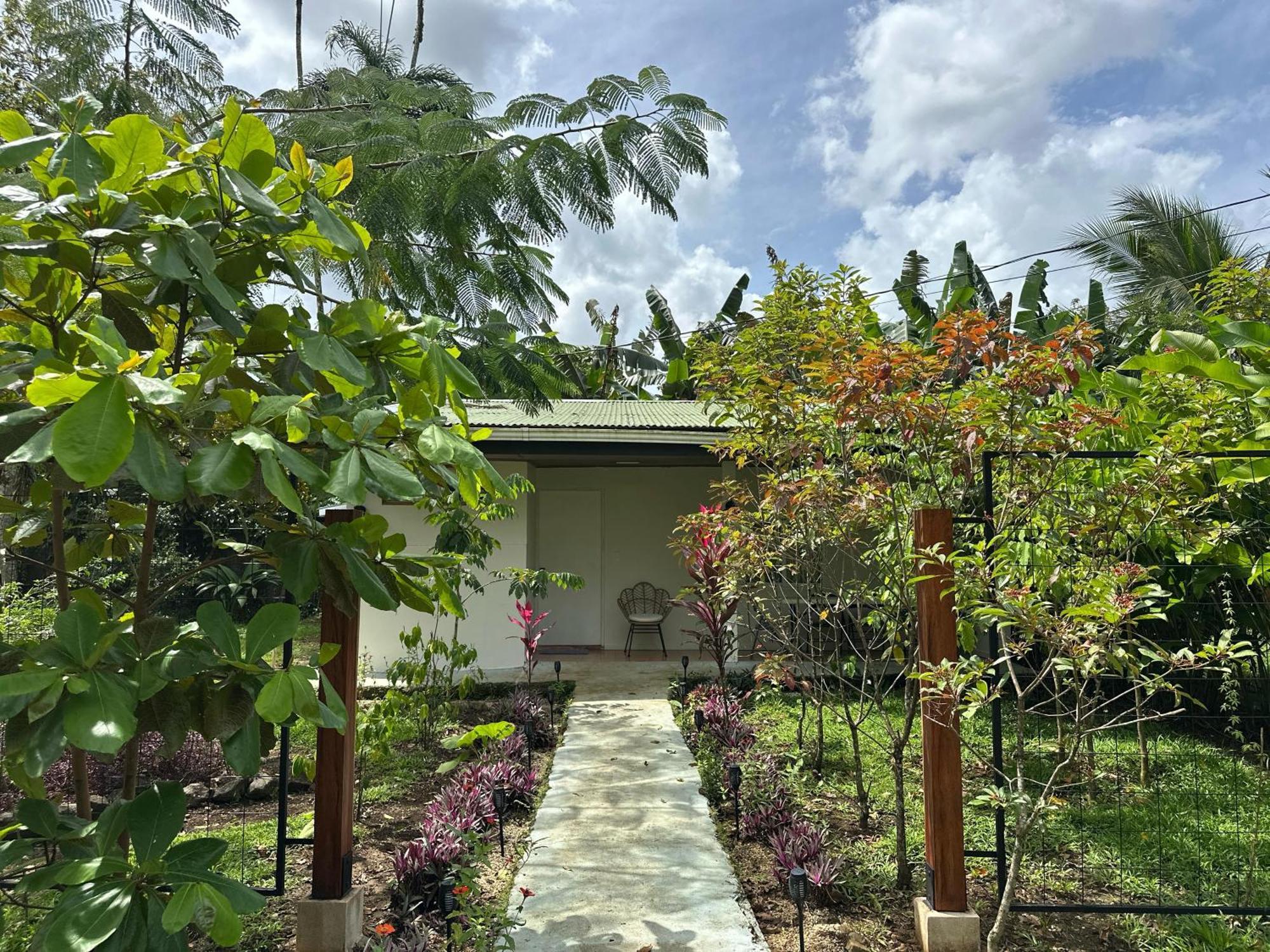 Almendros Eco-Villas ラ・フォルトゥナ エクステリア 写真